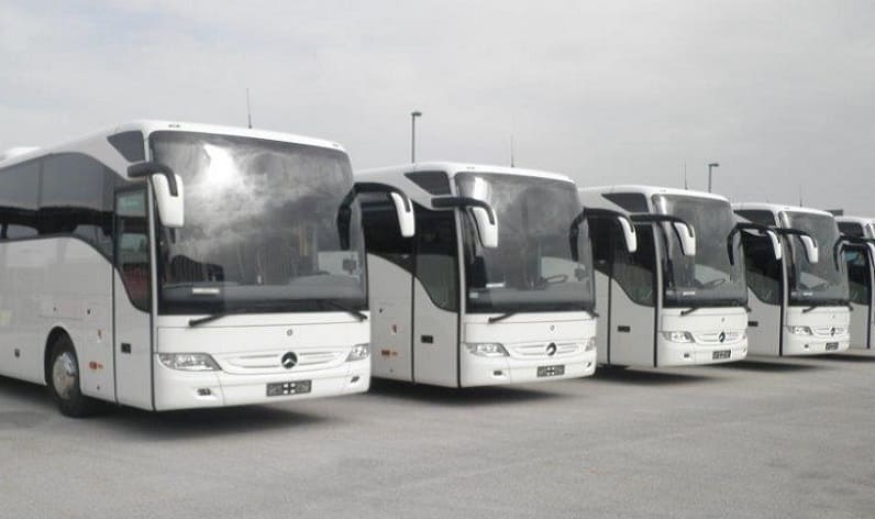 Grand Est: Bus company in Mulhouse in Mulhouse and France